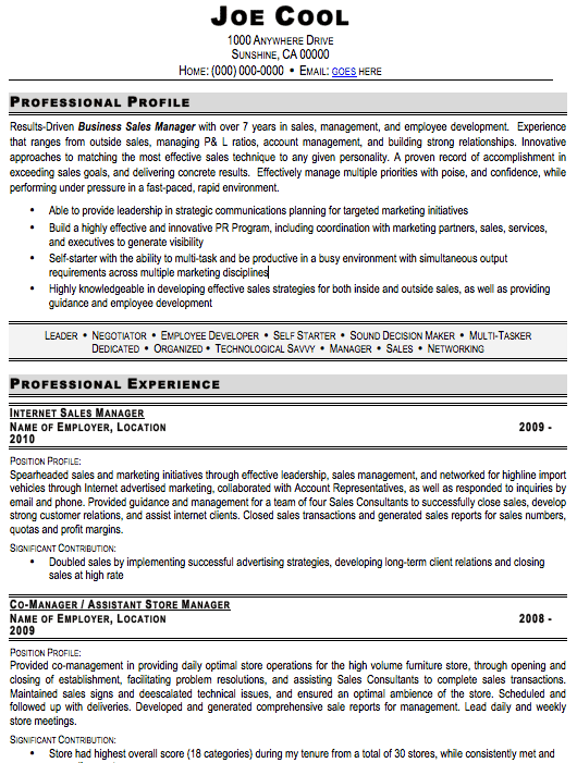 Experienced Resume Templates. Professional Sales Manager